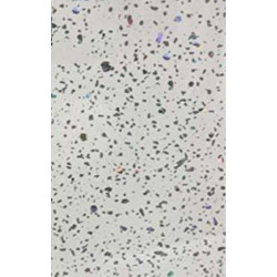 1 x white sparkle  wet wall panel 250mm x 2700mm x 5mm thick
